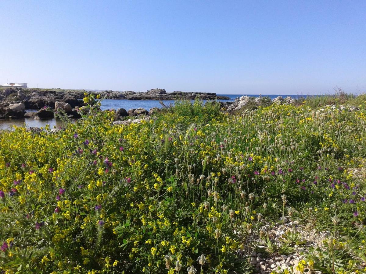 La Porta Di Mare B&B ナルド エクステリア 写真