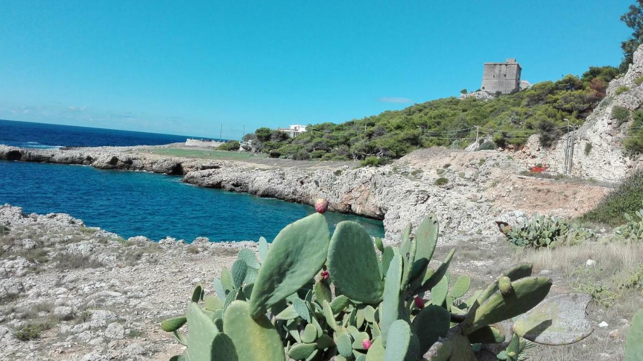 La Porta Di Mare B&B ナルド エクステリア 写真