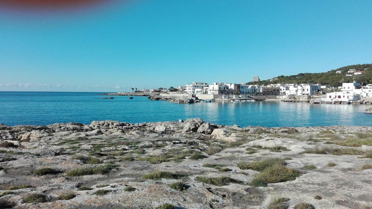 La Porta Di Mare B&B ナルド エクステリア 写真